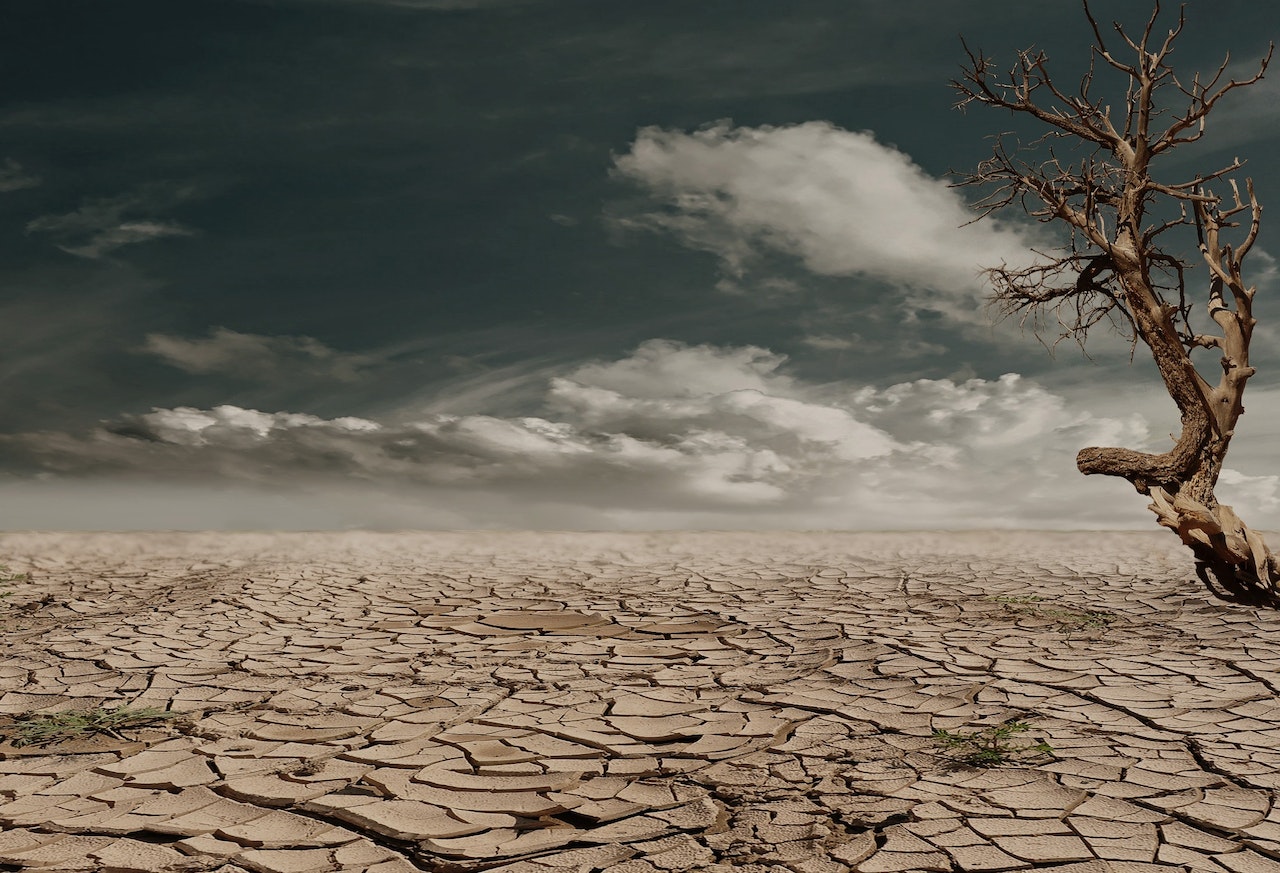 Landscape characterized by drought